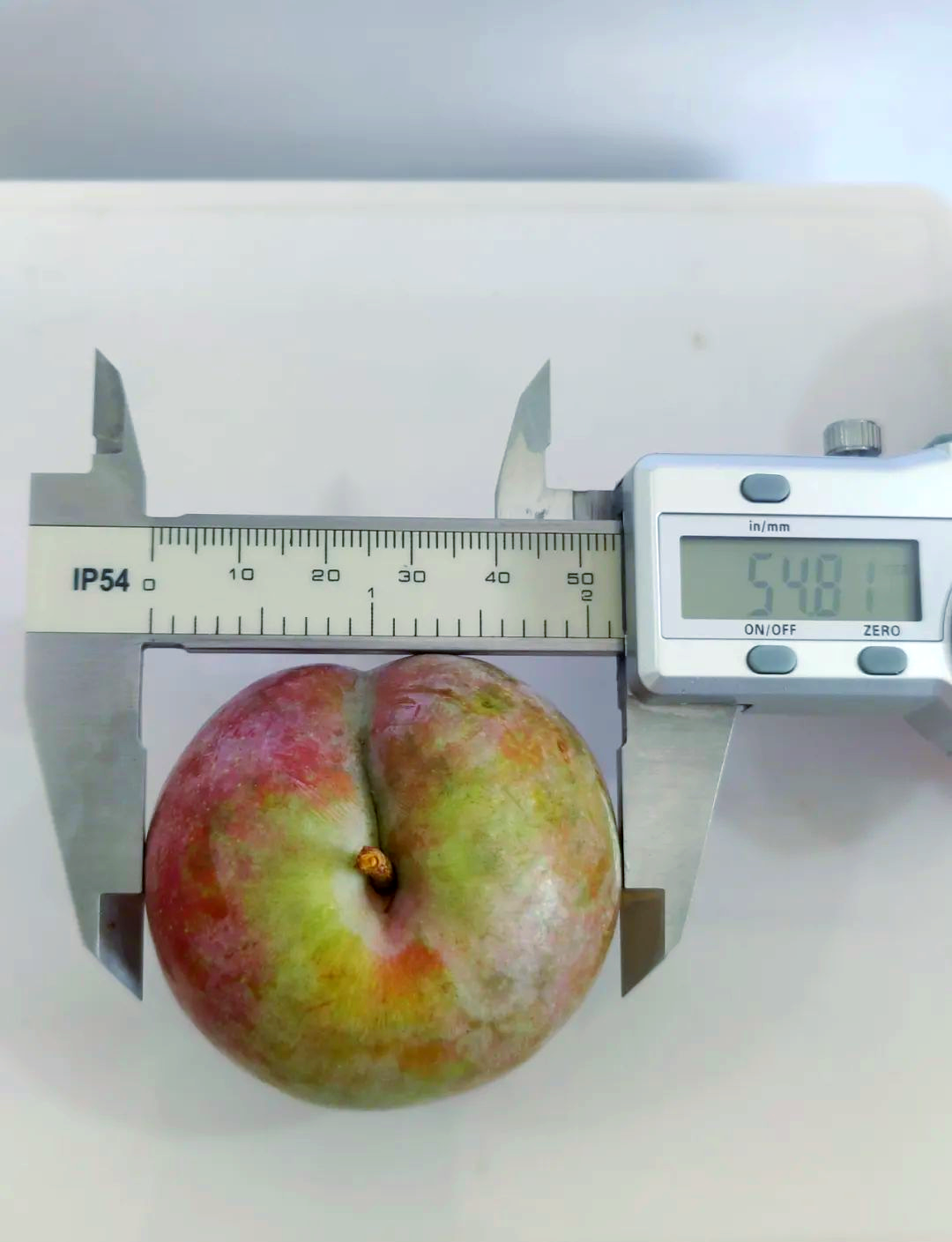 武平芙蓉李分级标准详解,提升品质从果型开始