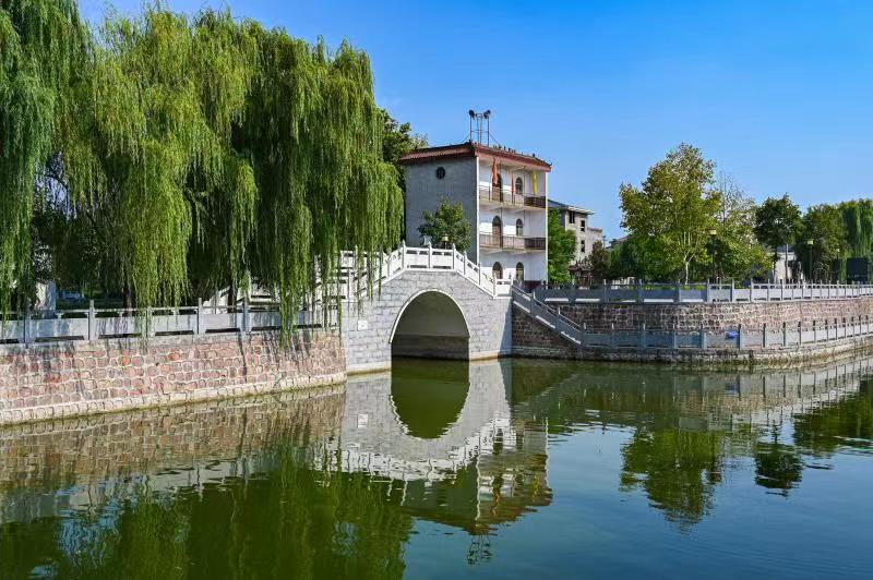 临颍县大郭镇胡桥村:种植绿化苗木树绿村美民富