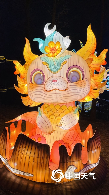喜迎春节 广西南宁青秀山花灯流光溢彩