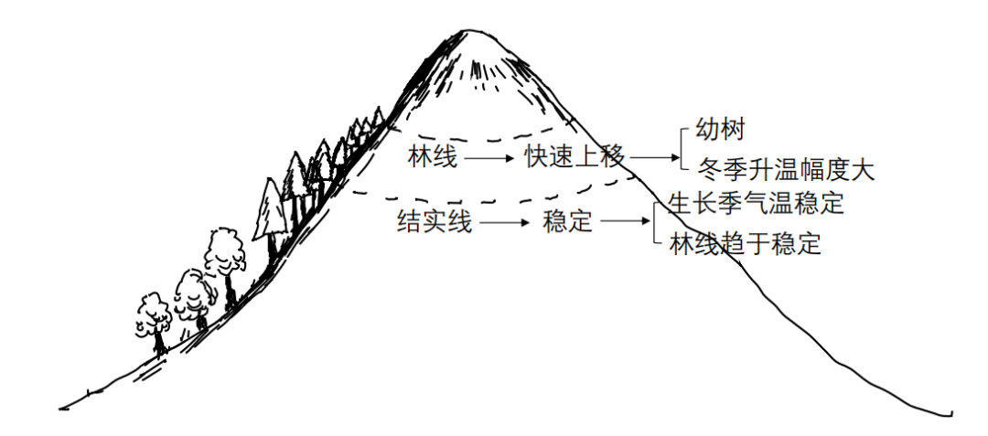 高考重点|雪线和林线你掌握了吗?