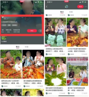 小红书0涨粉？99%的人中招！