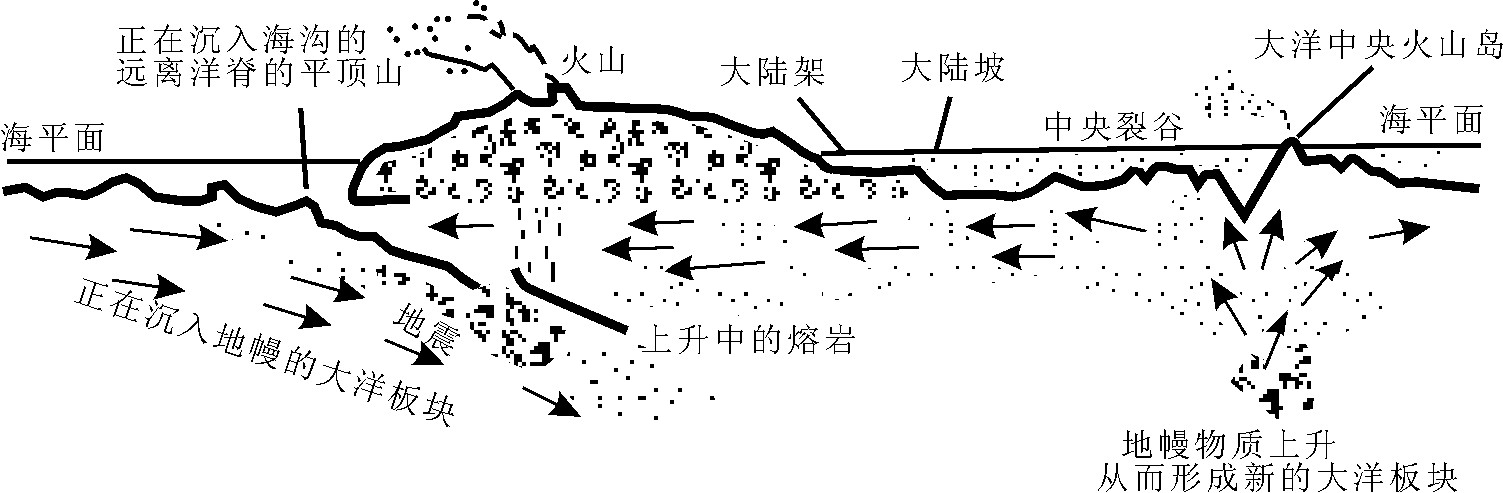 海底擴張說是由美國學者赫斯在大陸漂移說和地幔對流說基礎上提出