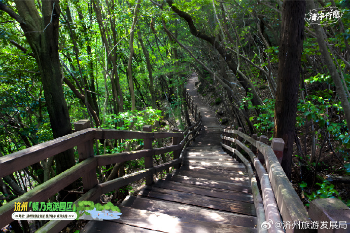 尽享夏日大自然的清凉畅快济州「顿乃克游园区」