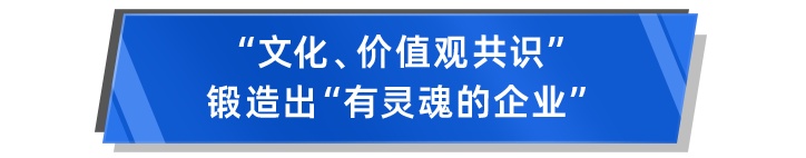 陽光保險的成功