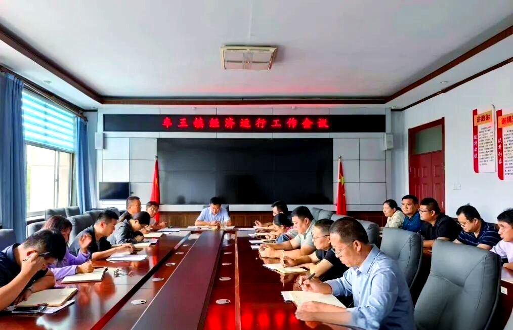 车王镇多措并举推动乡村振兴与文明发展