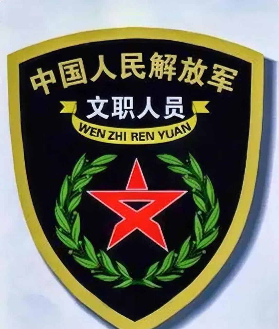 网友投稿:本人94年,硕士毕业19年毕业,考军队文职,考了两年考上了,在