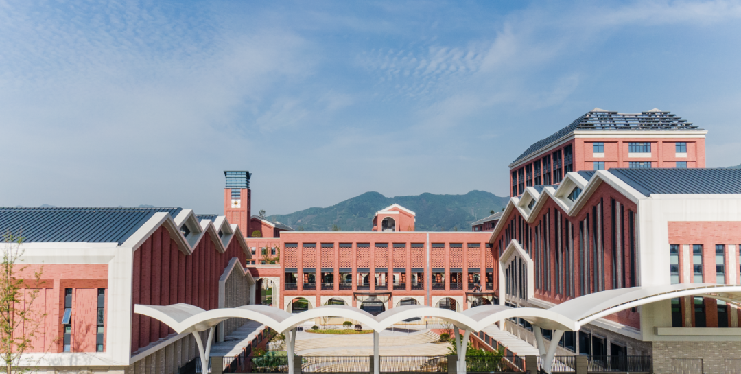 高考后,20人进入北京大学,清华大学,有的是通过竞赛保送,有的是通过