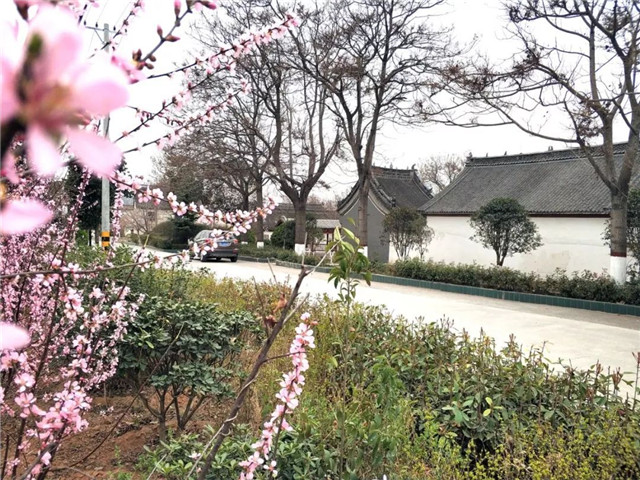 深度体验朱家庵村 净心观瞻天龙古寺:张吉怀翻吊车小李游记