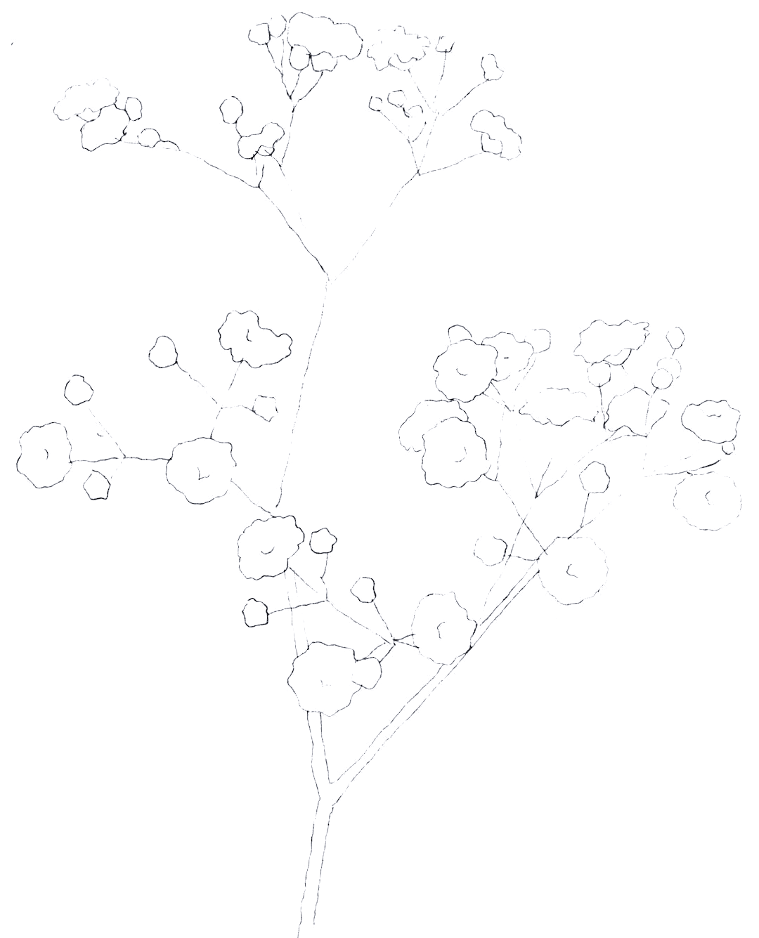 用满天星表达对祖国和老师的深情祝福