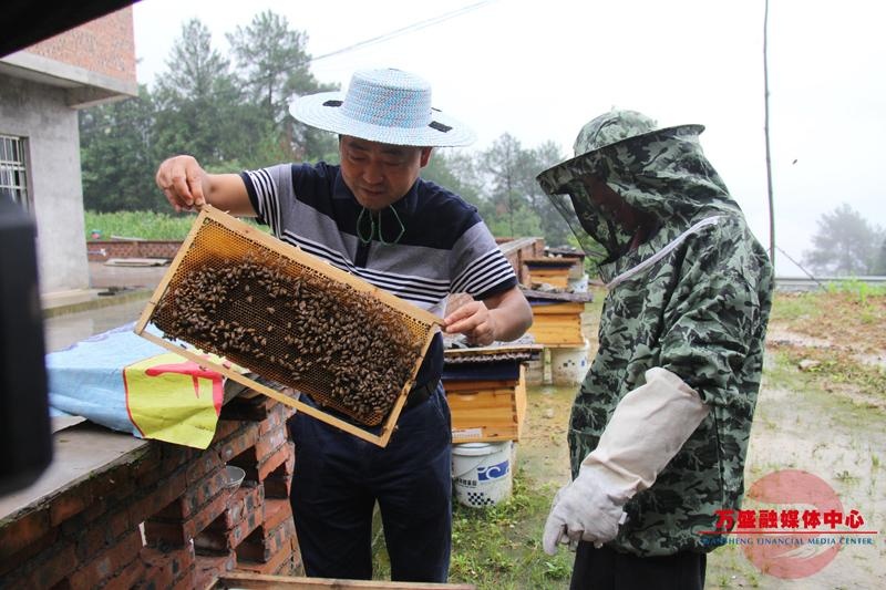 石林镇茶园村驻村第一书记霍毅:以实干诠释初心