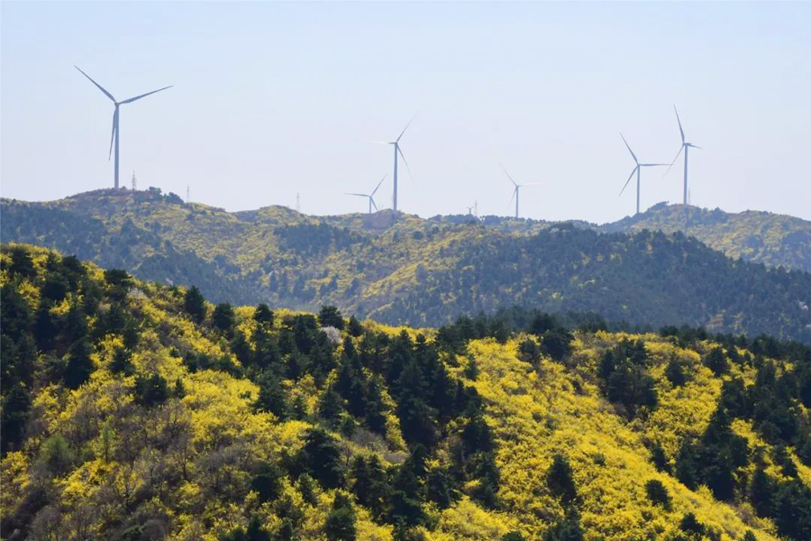 长子发鸠山图片美景图片