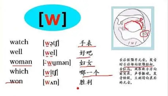 w的音标?