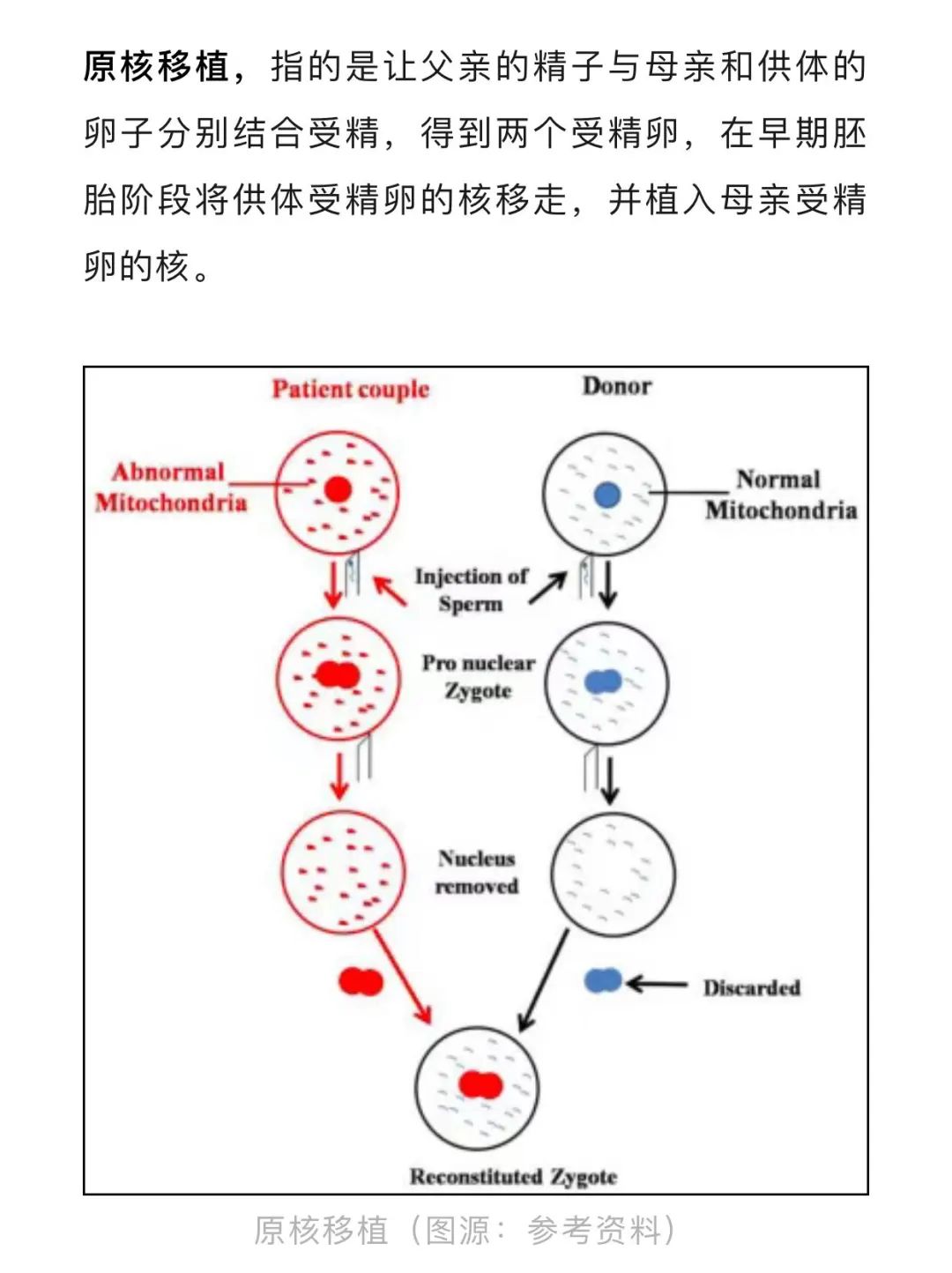 2023—2024年生物热点事件回顾—高考试题素材整理