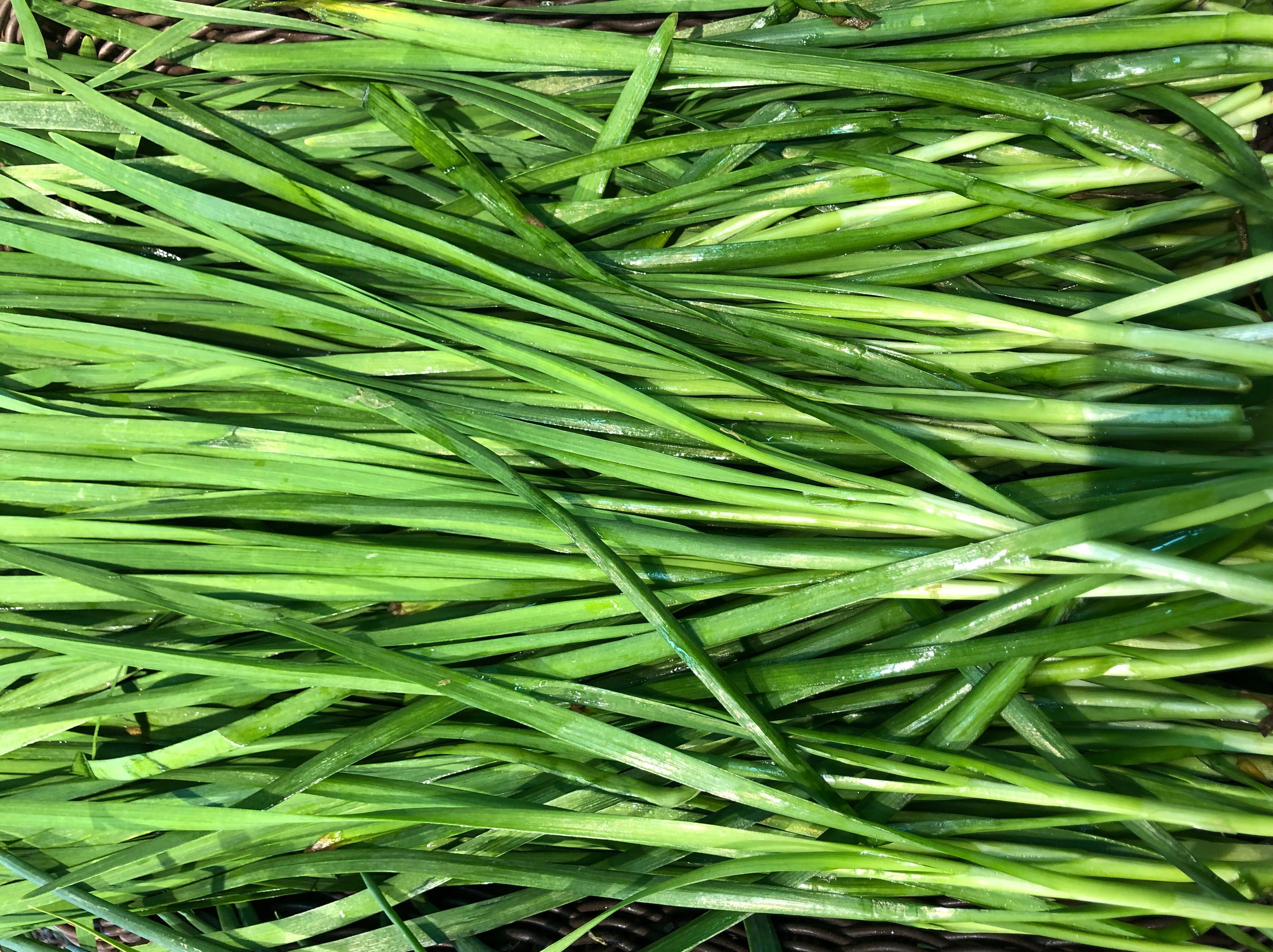 菲菜的好处和功效,传统的壮阳草