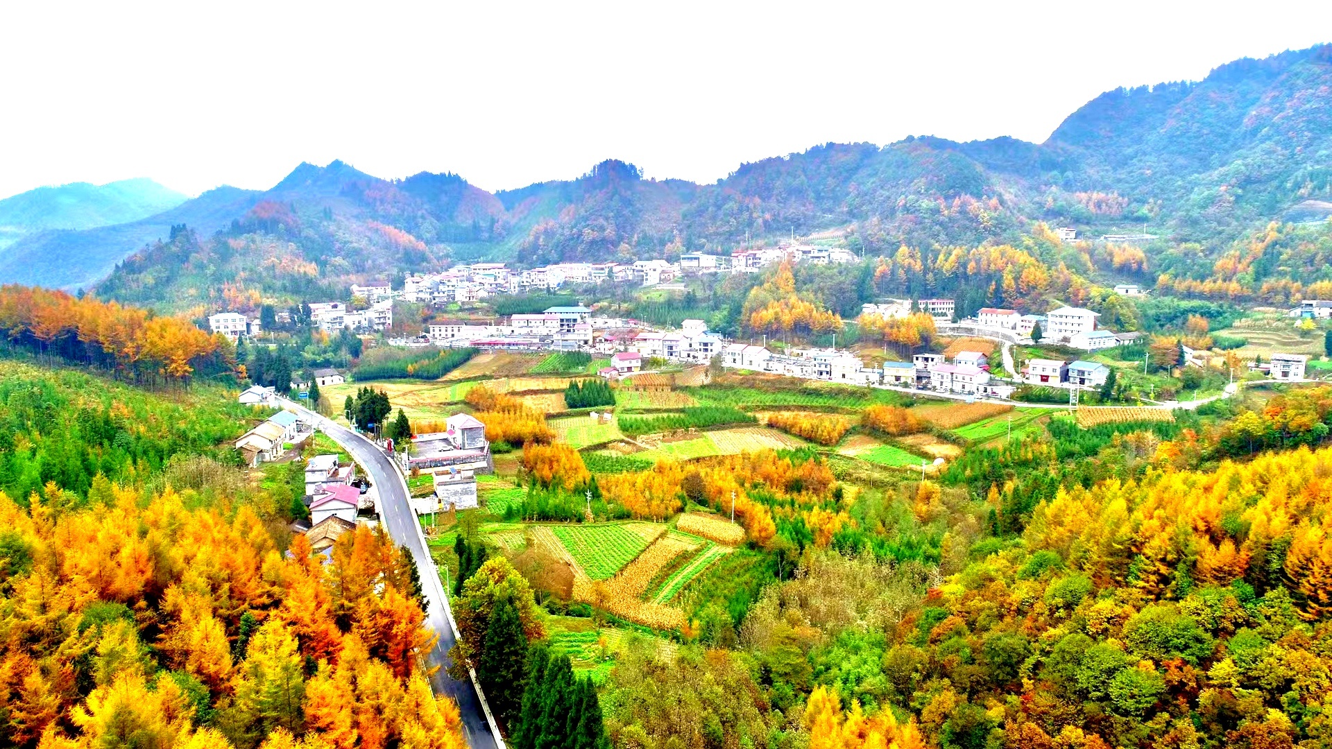 龙坪楂树坪村:宣讲"两会"精神 助力乡村振兴