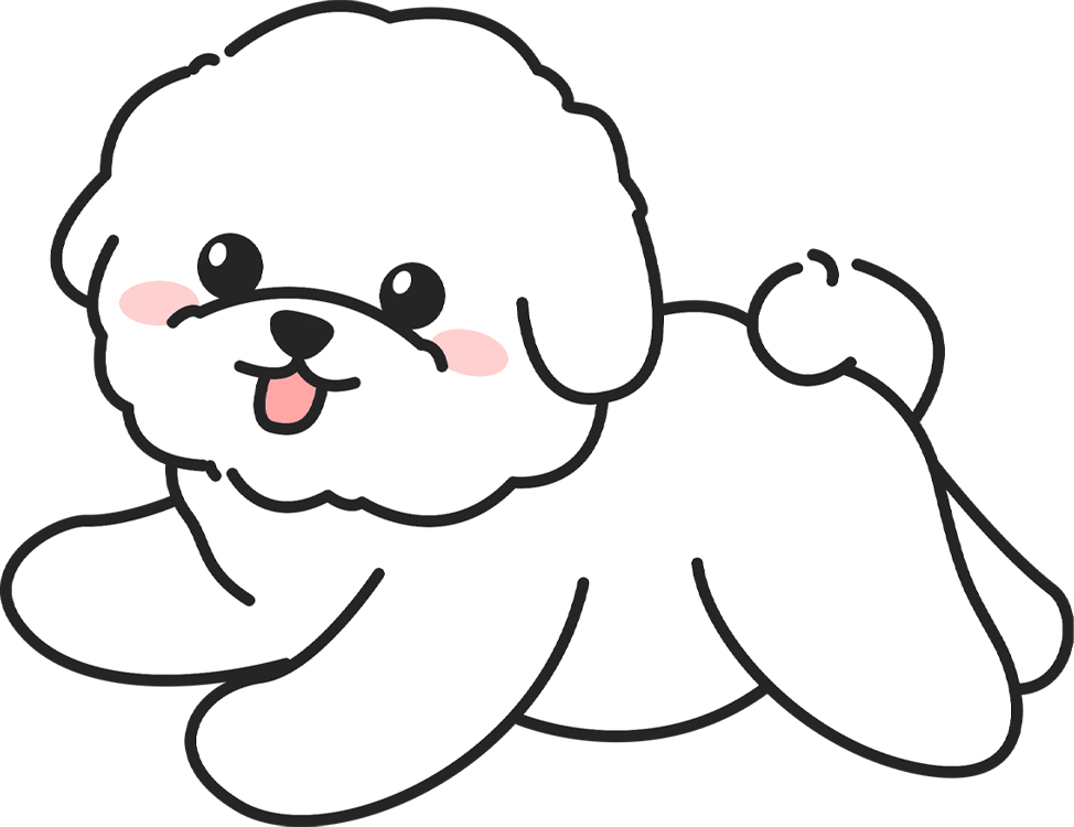 比熊犬喂养手册|一颗会卖萌的棉花糖