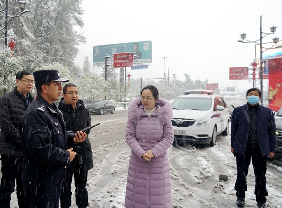 吴俞萍调研低温雨雪冰冻天气应对防范工作