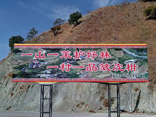 四川木里:俄亚乡皱皮柑产业喜获大丰收