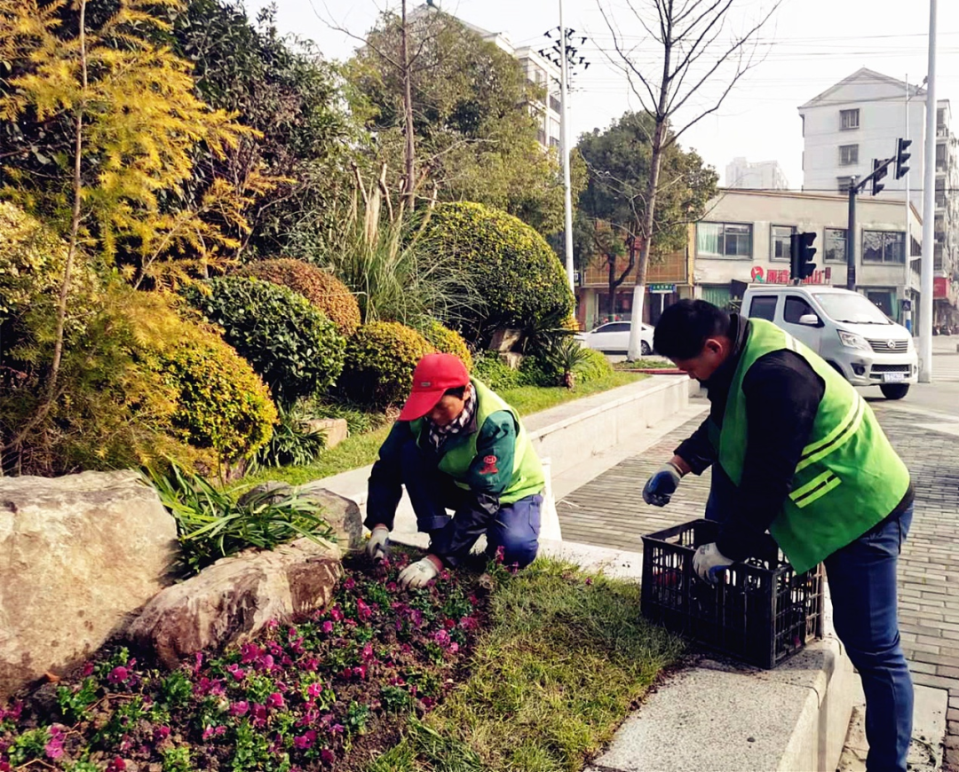 优秀！我区这项考核成绩排名全市第一