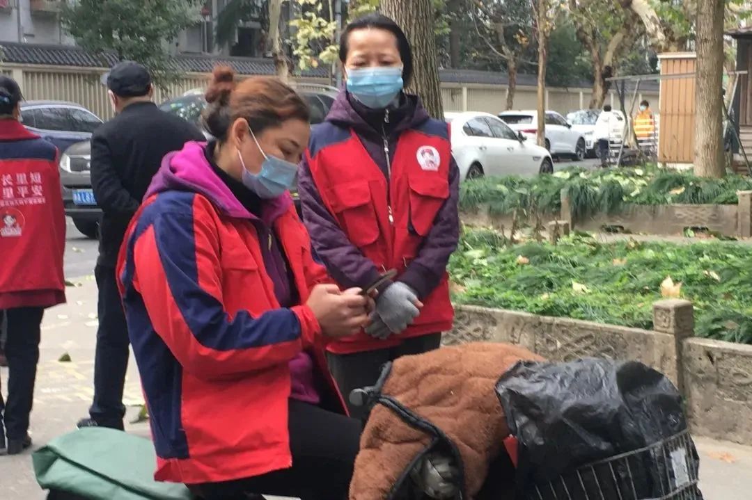 绿色低碳喜迎亚运记杭州市绿色家庭傅丽玉家庭