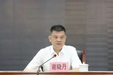 广州市谢晓丹图片