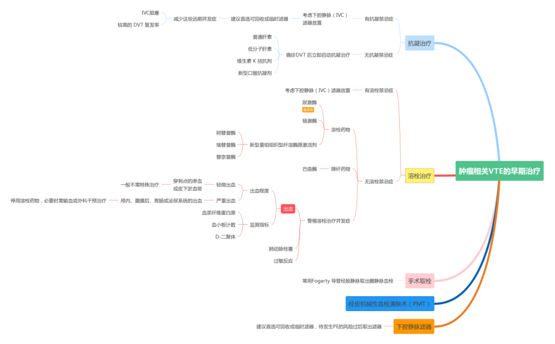 肺栓塞思维导图图片