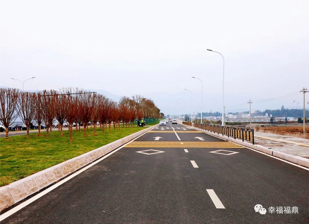 国道g228线福鼎市滨海大道二期暨白茶大道正式通车