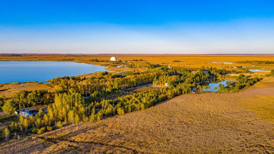齐齐哈尔鹤城|醉美景色在秋季
