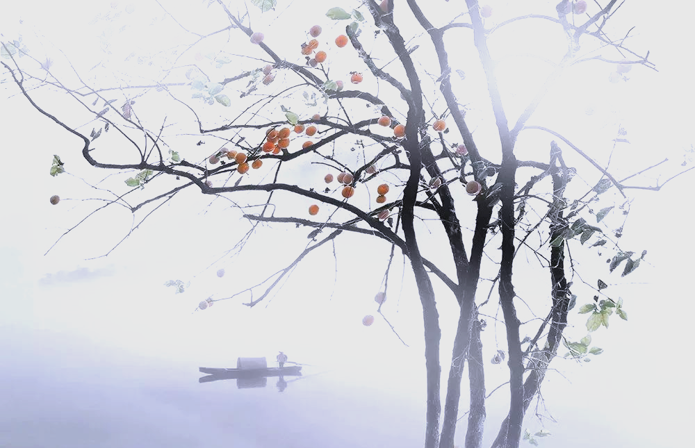 画意摄影:探索摄影与绘画的完美结合