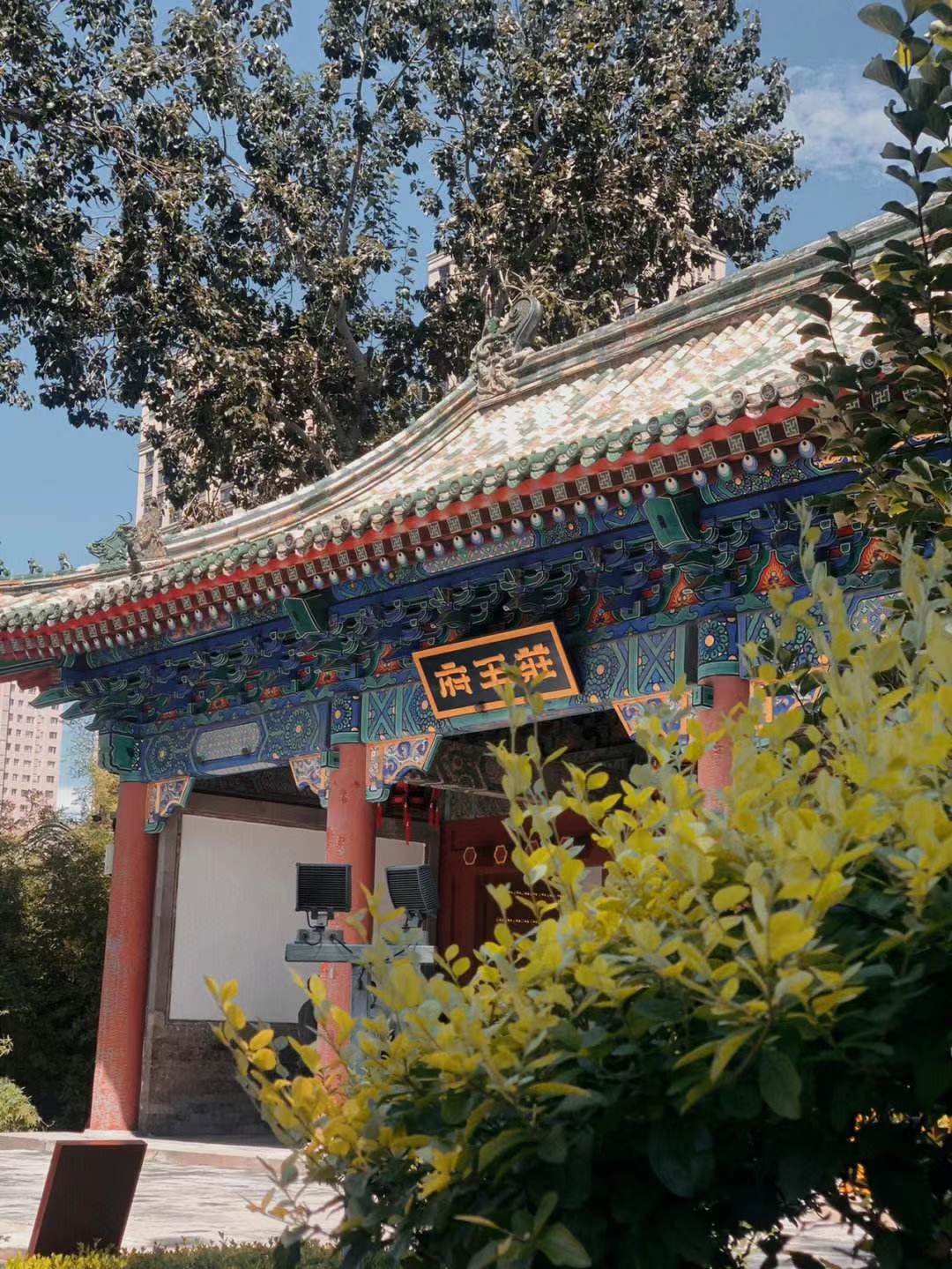 庄亲王府一杯禅茶说妙义,高僧点化玉兰花香满庭芳