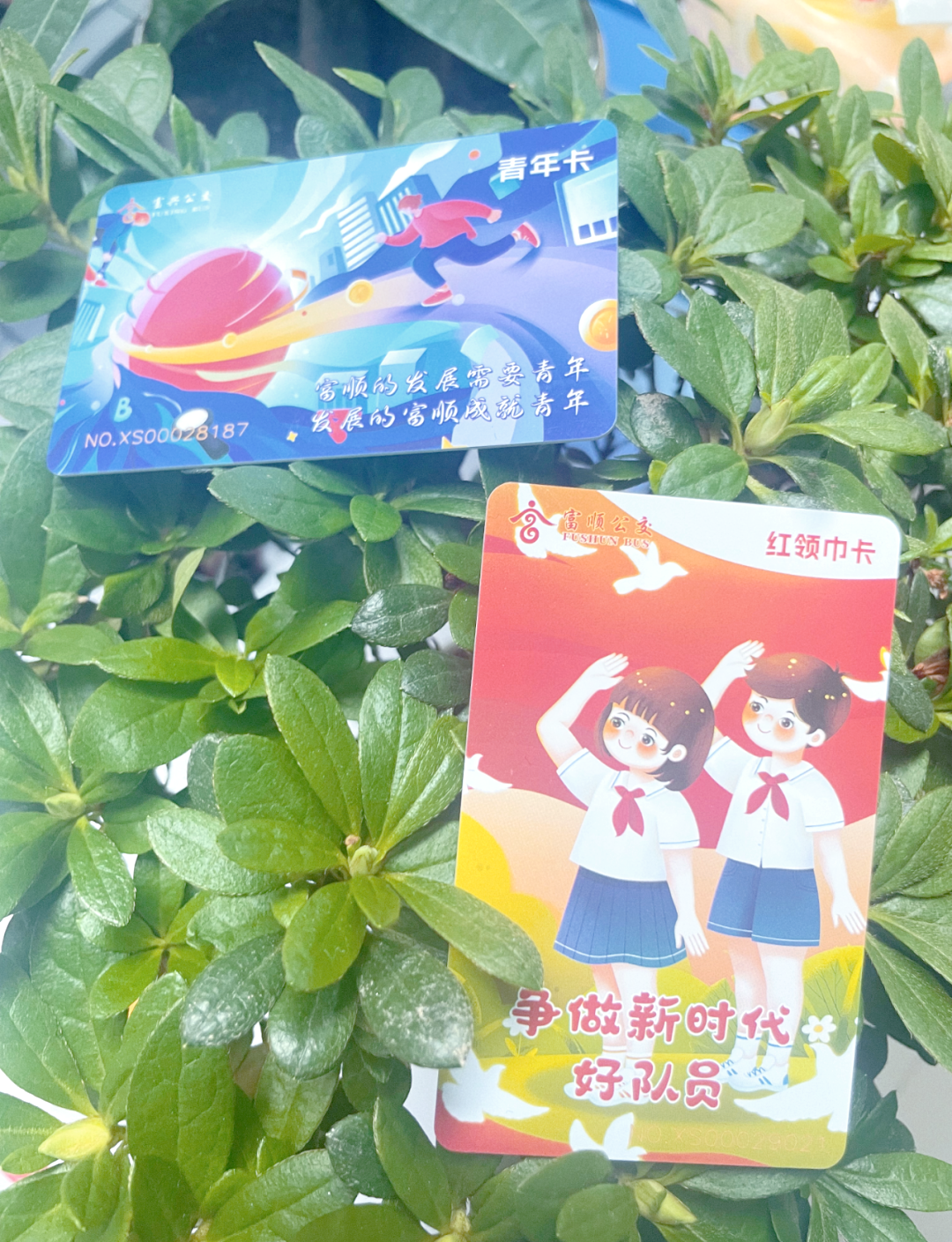 富顺县青春主题公交上线,引领青年发展型县域建设