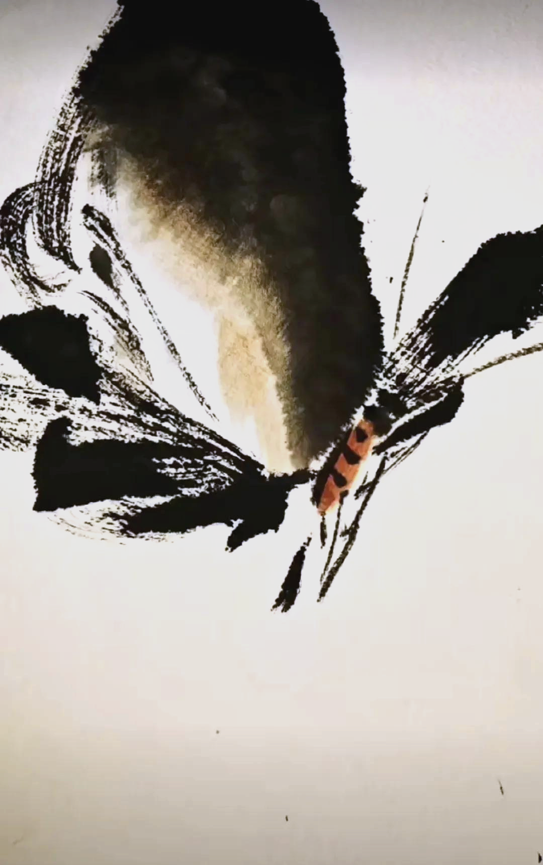 任之蝴蝶画中的写意韵律与自然之美