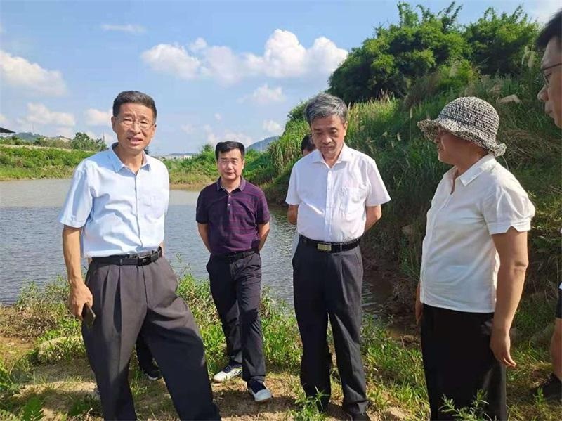 赣州市级林长柯岩松开展巡林工作