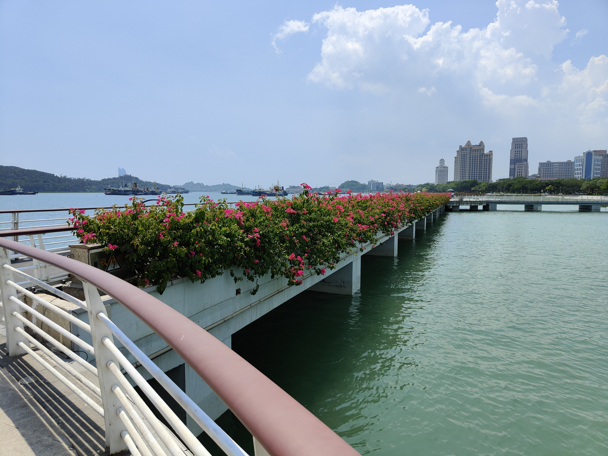 海沧湾是一座沿海湾线打造出的带状公园,厦门旅游的绝佳地方