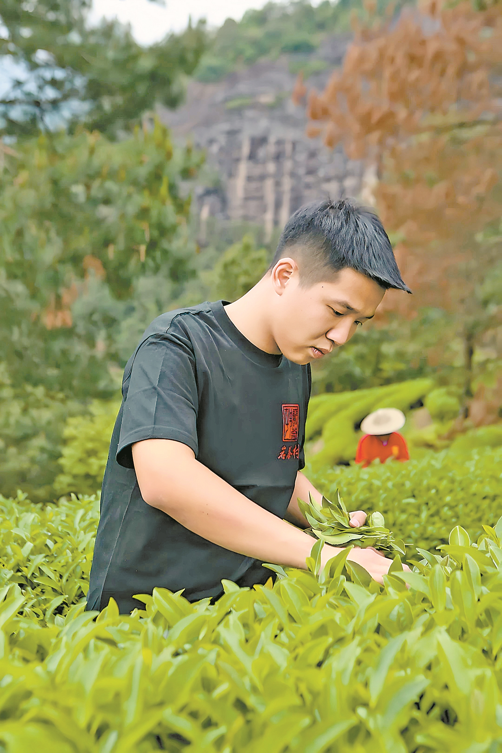 深读丨新世代武夷岩茶怎样发展?且将新火试新茶