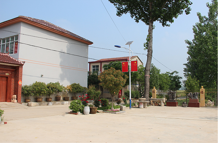 和美乡村,安徽萧县庄里镇这样建!