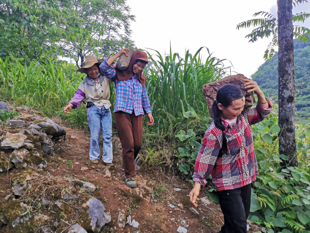 一颗红心暖人间 身处逆境向阳行——记马山县古寨瑶乡古棠村琴榜屯