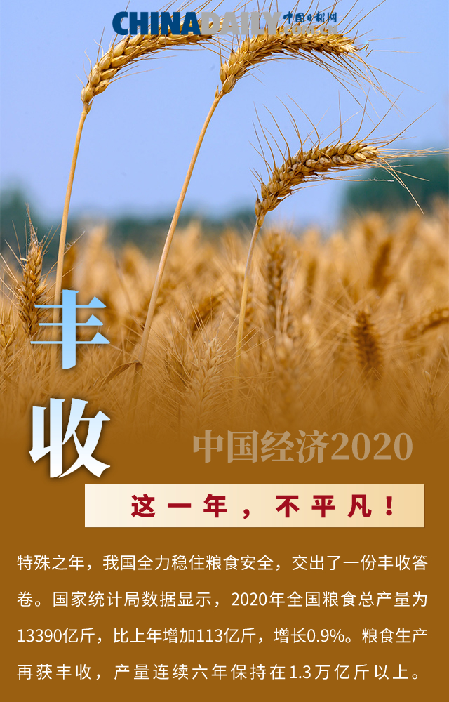 2020不平凡图片大全图片