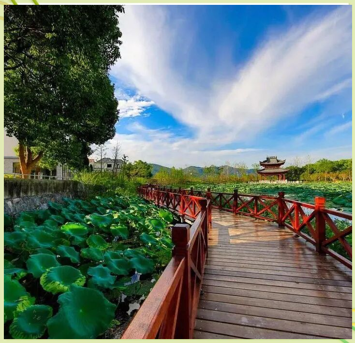 良渚安溪公交专线助力旅游发展与乡村振兴