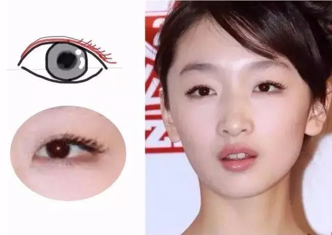 绝不让你失望!女人必看:五种眼型全解析,杏眼标准、圆眼减龄