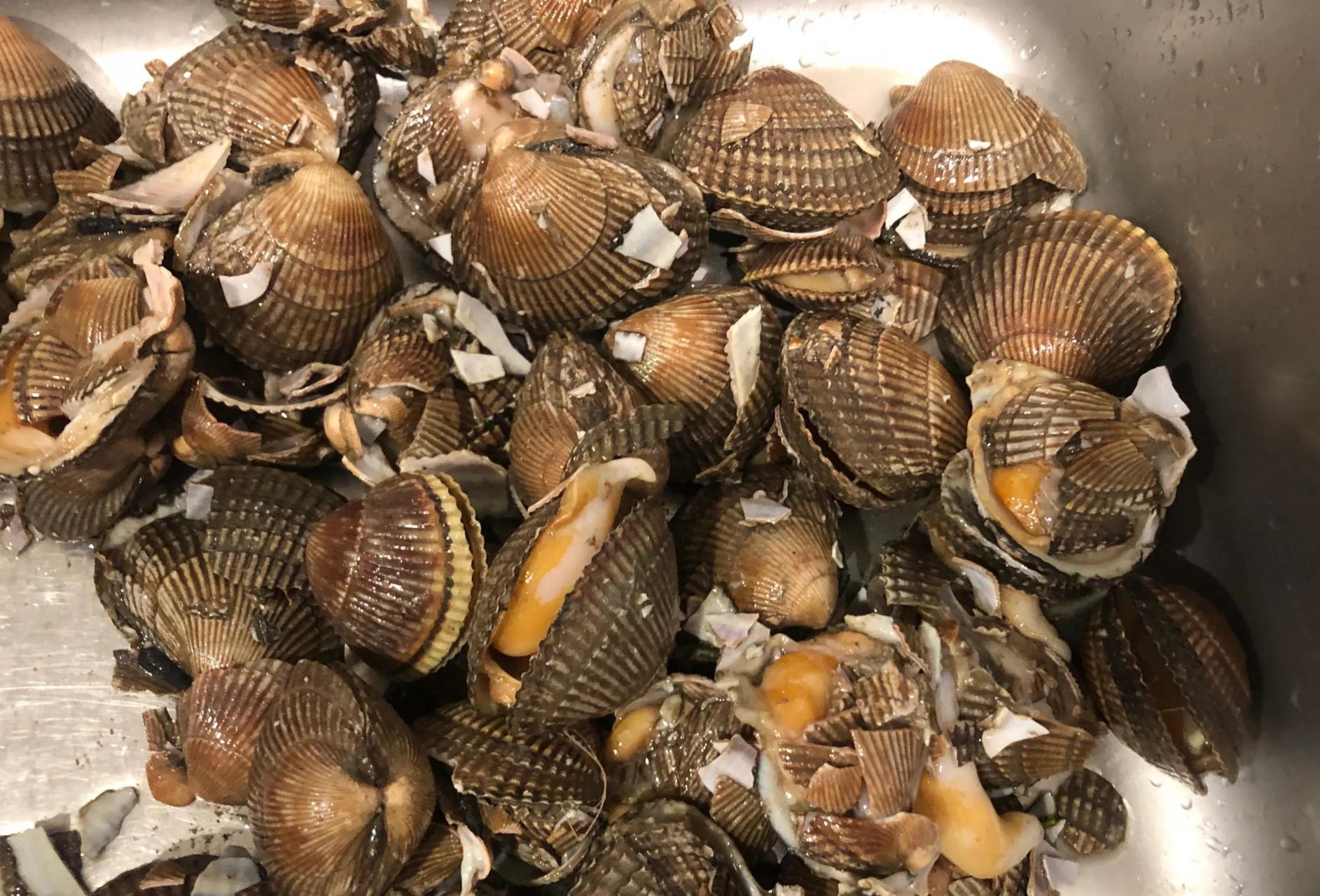 大连头条#在市场上看见鸟贝挺新鲜的,带壳儿的15元二斤,很便宜,想吃