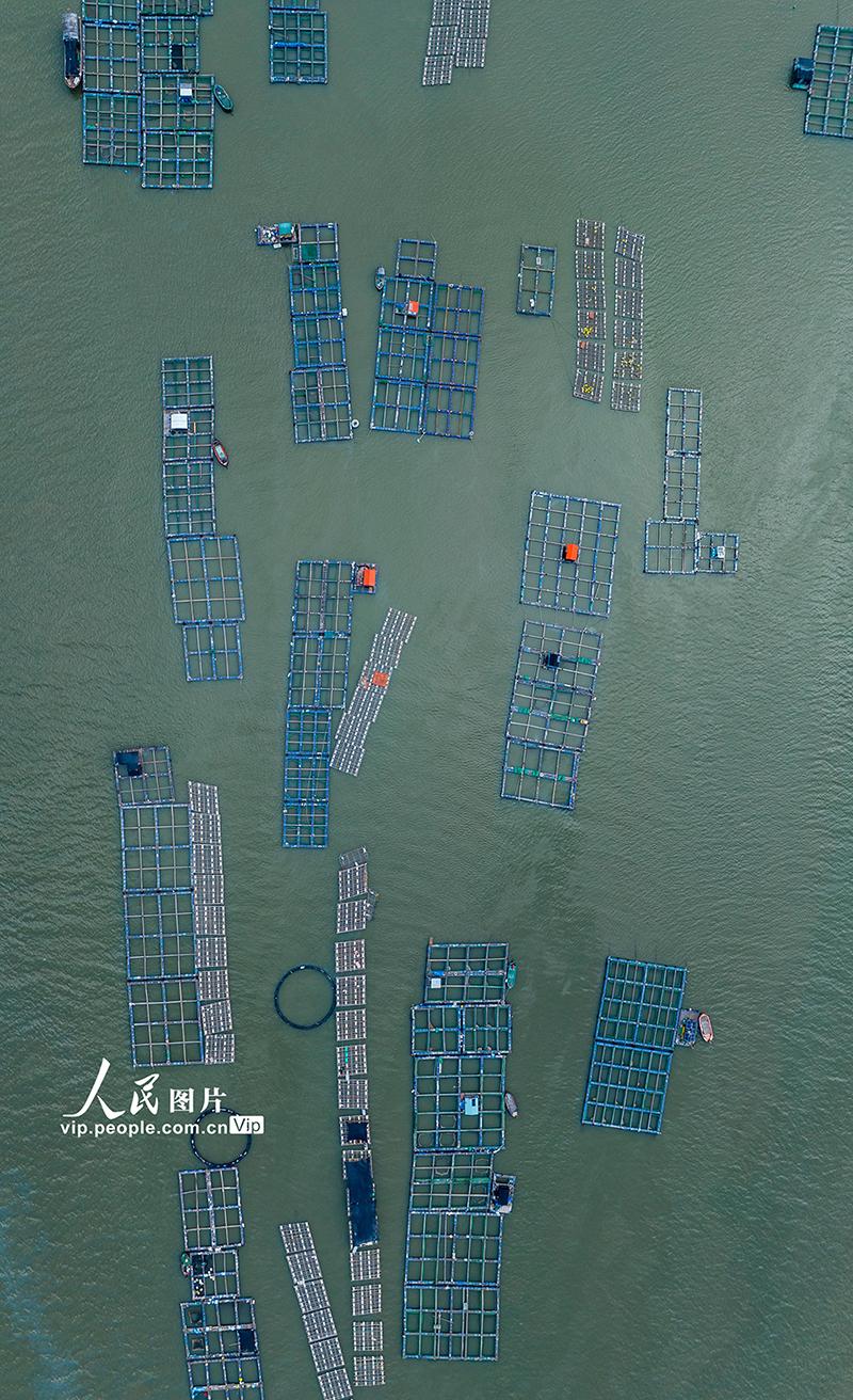 广东徐闻:外罗渔港的水上养殖场