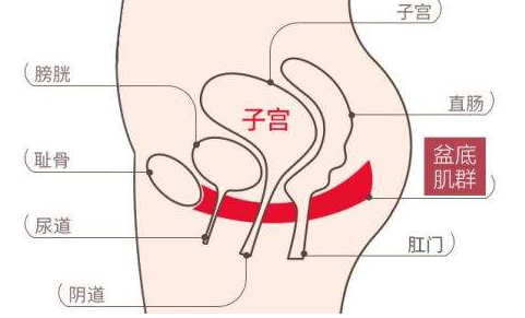 女生下面松弛是怎么办?这有你要的