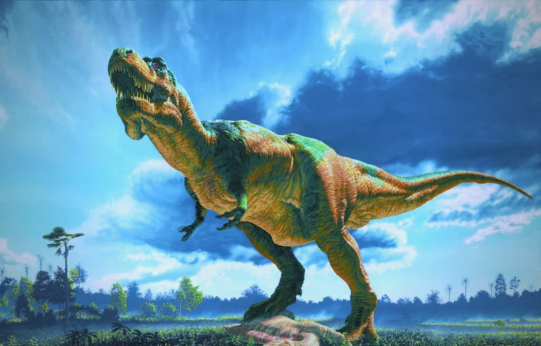暴龙:历史上出现过的最大型陆地肉食性动物