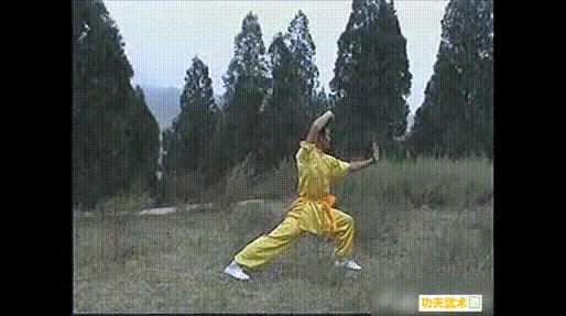 少林连环拳实战格斗运用(下),既防身又健身,普通人能练的拳