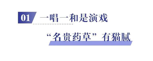 防范养老诈骗｜集中宣判！15起养老诈骗犯罪案件，涉案14.16亿余元