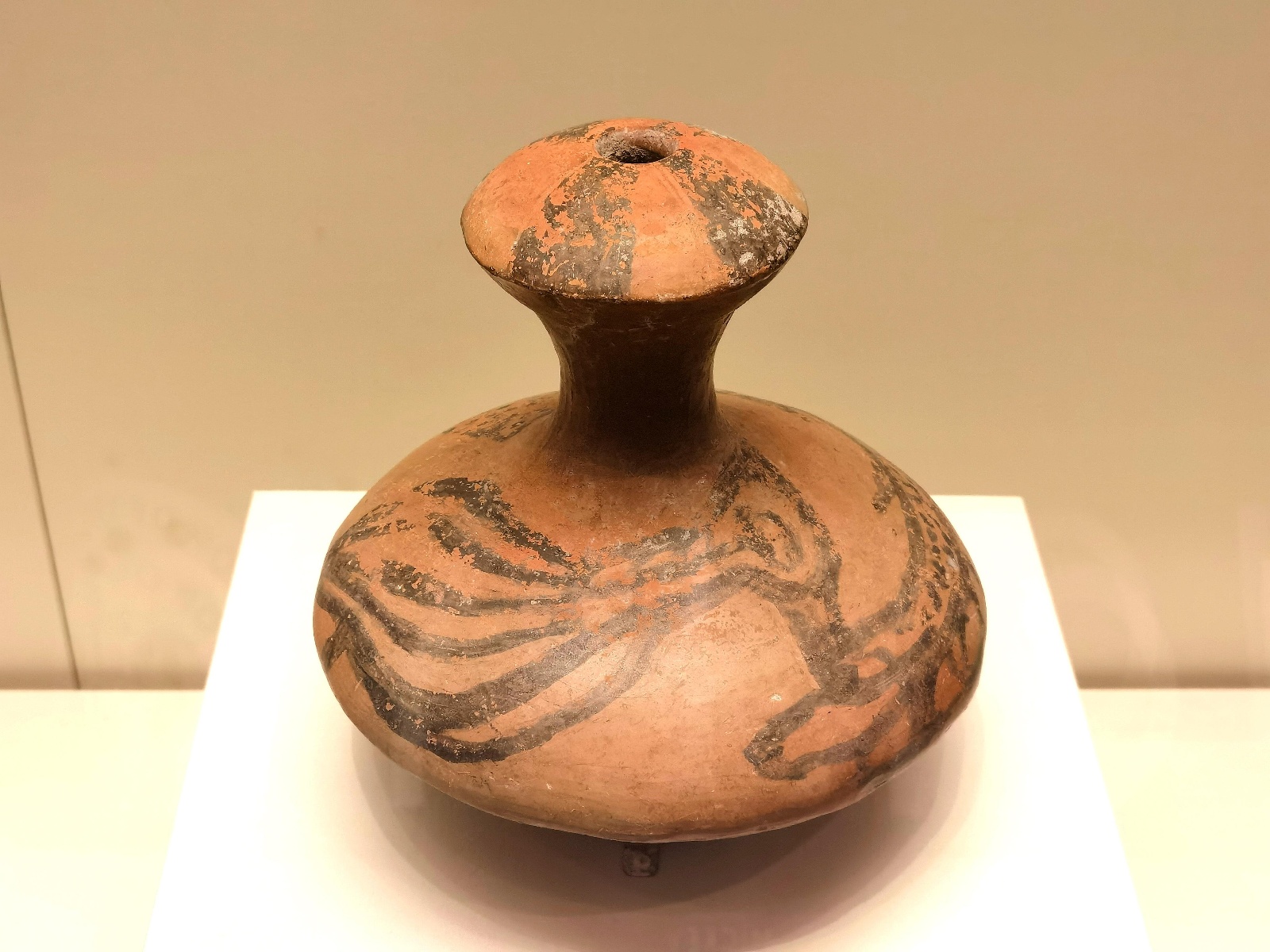 看见文物|"水鸟衔鱼"——鱼鸟纹彩陶壶