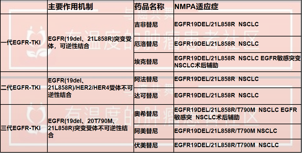 三代靶向egfr-tki特点