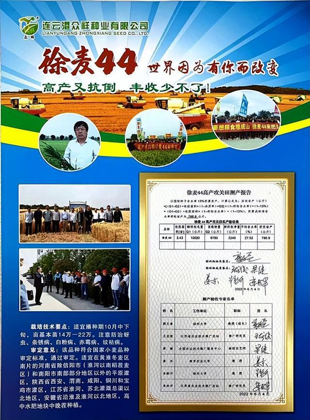 小麦品种徐麦44:推动种业发展保障国家粮食安全