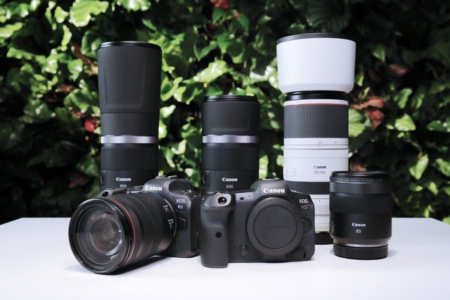 佳能eos r5和r6抢先体验 你该pick哪一台?